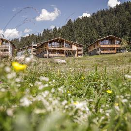 PRIVÀ Alpine Lodge, hótel í Lenzerheide