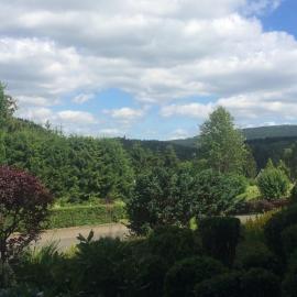 Eulennestchen-Harz Fewo S1 oder L2 Für Single, Paar oder Familie & Hund Oberharz, hotel v destinaci Altenau