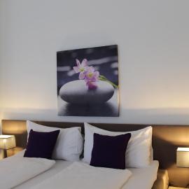 Zum Schwarzen Löwen, hotel en Altdorf
