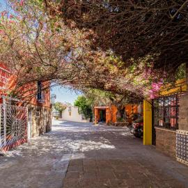 Hotel Posada Bugambilias، فندق في سان لويس بوتوسي