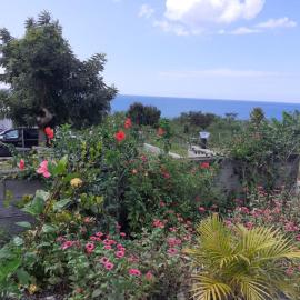 Bikamado, hotel u gradu Deshaies