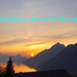 Appartement Seelewärmerli - Balsam für Ihre Seele, Hotel in Seelisberg