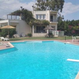 Mega pool and BBQ villa