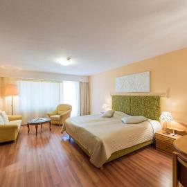 Badehotel Salina Maris – Wellness & Vintage, hotel in Mörel