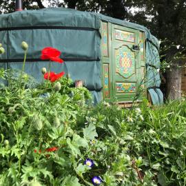 Mill Stream Yurt