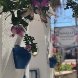 Denizati Pension, hotel din Bodrum