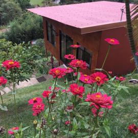 Navarro mountain, Hotel in Cartago