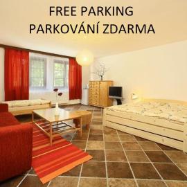Pension Adam, hotel i Horní Planá