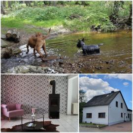 Nationalpark Ferienhaus SOPHIA-LUISA, hotel a Börfink