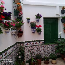 Alicante-Rental Alojamientos Turisticos CULTURAS Y COLORES EN ALMAGRO -Parking -Promocion EMPRESAS-, hotel di Almagro