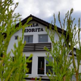 Vila Miorita, hotel em Sebes