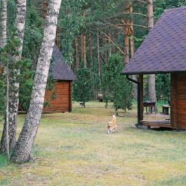 Niidupuu Camping, hótel í Mändjala