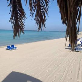 Bilocale vista spiaggia 10 metri dal mare, hotel din Torre Mozza