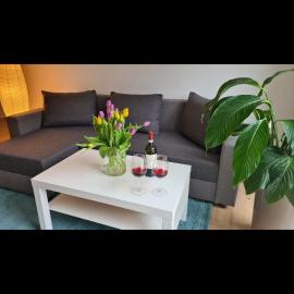 Ferienwohnung Maurer, מלון בבאד אוברקינגן