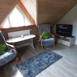 Apartament pod lasem