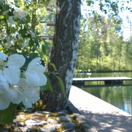 Vierumäki Country Club Hotel, khách sạn ở Vierumäki