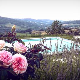 Il Colombarone, hotel in Rustigazzo