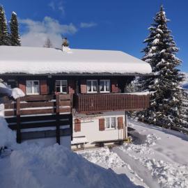 Chalet Grazia, hotel em Riederalp