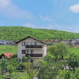 Pensiunea Albina, hotel en Sînnicoară