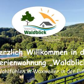 FeWo Waldblick, khách sạn ở Waxweiler