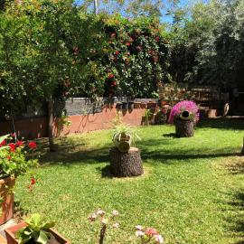 Le quattro rose