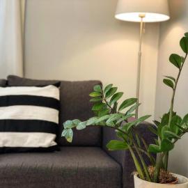 Helianthus Apartments, hotel sa Argostoli