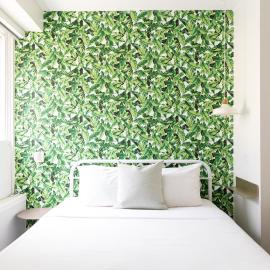 Pembroke Inn, hotel in Toronto