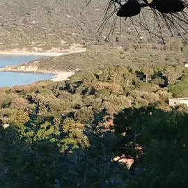 LOCANOMA