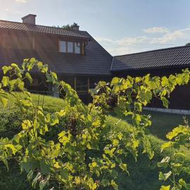 Green Willow Siedlisko, hotel in Wrocanka