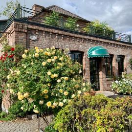 Rose Cottage in Rees die Seele baumeln lassen, viešbutis mieste Rėsas