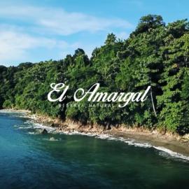 Lodge El Amargal - Reserva Natural, Ecoturismo & Surf，努基的飯店