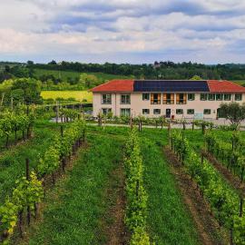 Tenuta Mani Sagge