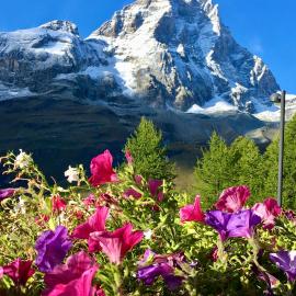 Appartamenti Coin Au Paradis, hotel em Breuil-Cervinia