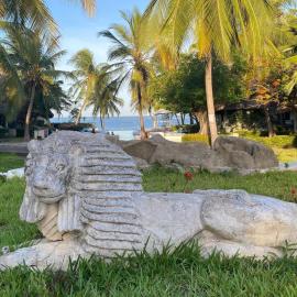 White Lion -the only one-, hotel di Malindi