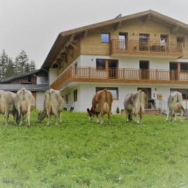 Lechtal-Pur-Aparts