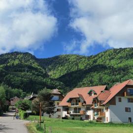 C le birdie, hotel in Giez