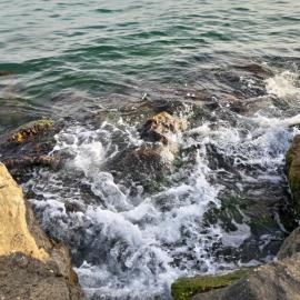 casa ene, ξενοδοχείο σε Neptun