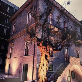 B&B Palazzo Storico Di Nicola, hotel in Pescara