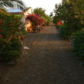 Viesnīca Agriturismo Hibiscus pilsētā Ustika