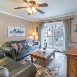River Park 1244, hotel a Ouray
