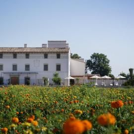 La Mozaira, hotel i Alboraya