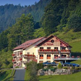 Logis Hôtel Le Vétiné, hotel en Le Valtin