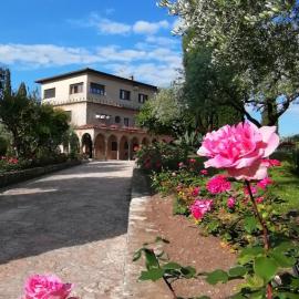 Villa Paradiso, Hotel in Sirmione