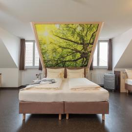Radlhotel Wassertrüdingen, hotel in Wassertrüdingen