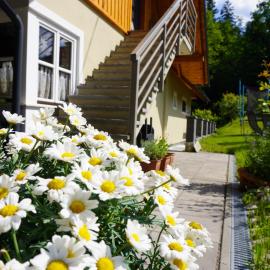 Ferienwohnung Heidi, ξενοδοχείο σε Leutschach