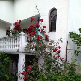 Apartman Sunce, hotel i Raslina