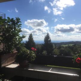 Komfortable Wohnungen und Studio in Sankt Englmar, Hotel in Sankt Englmar