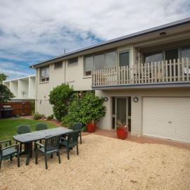 Banksia Seven