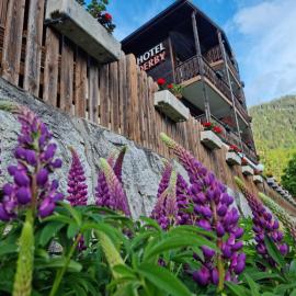 Hotel Derby, hotel Fieschben