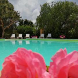 Masseria Pugliese Farm
